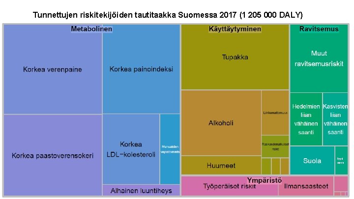 Tunnettujen riskitekijöiden tautitaakka Suomessa 2017 (1 205 000 DALY) IHME GBD: Suomen tunnettujen riskitekijöiden
