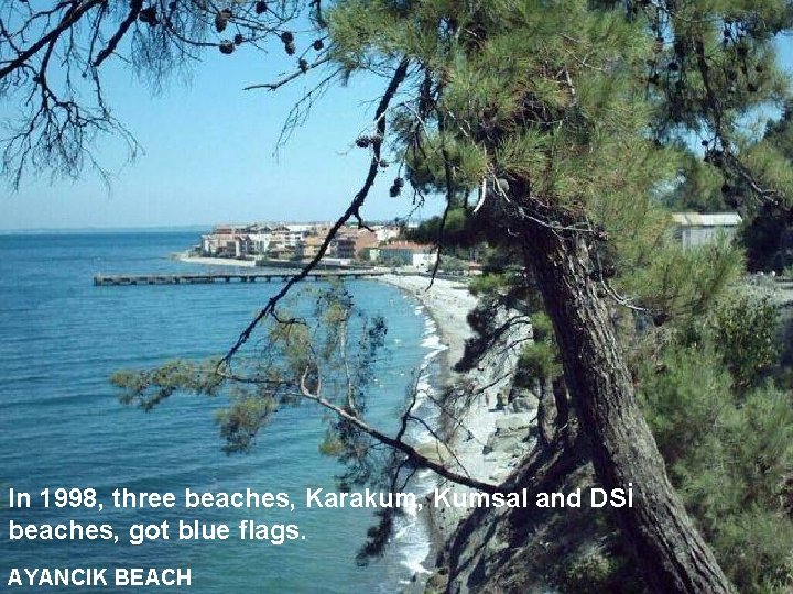 In 1998, three beaches, Karakum, Kumsal and DSİ beaches, got blue flags. AYANCIK BEACH