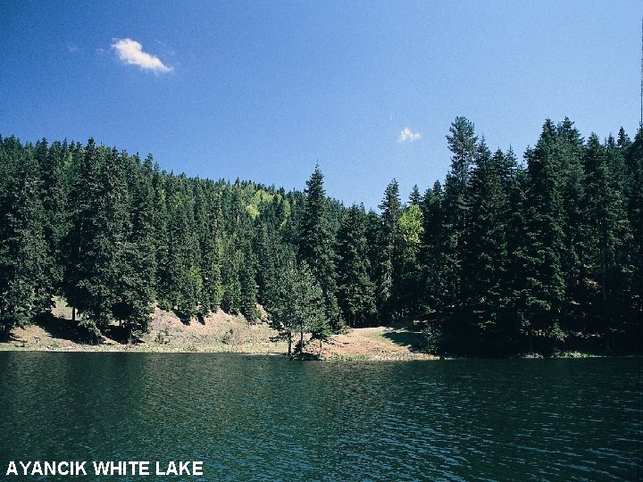 AYANCIK WHITE LAKE 