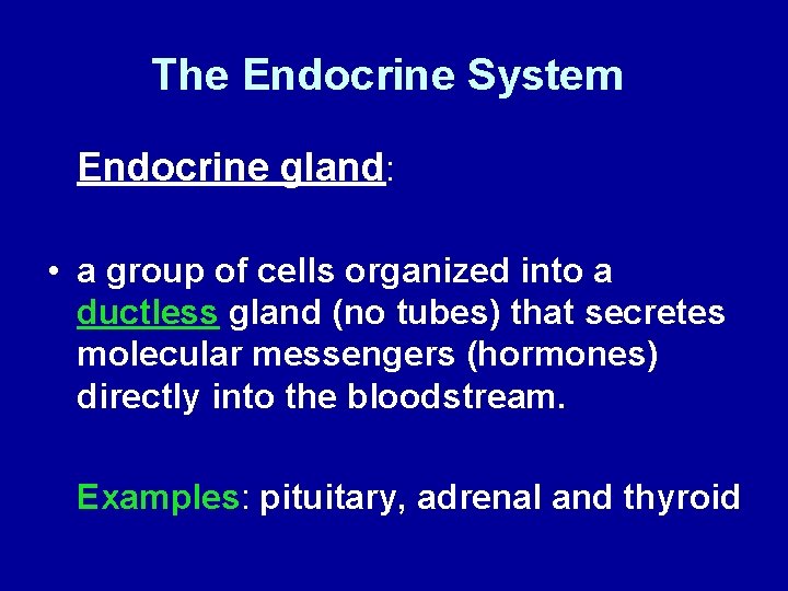 The Endocrine System Endocrine gland: • a group of cells organized into a ductless