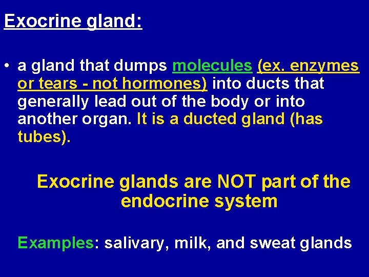 Exocrine gland: • a gland that dumps molecules (ex. enzymes or tears - not