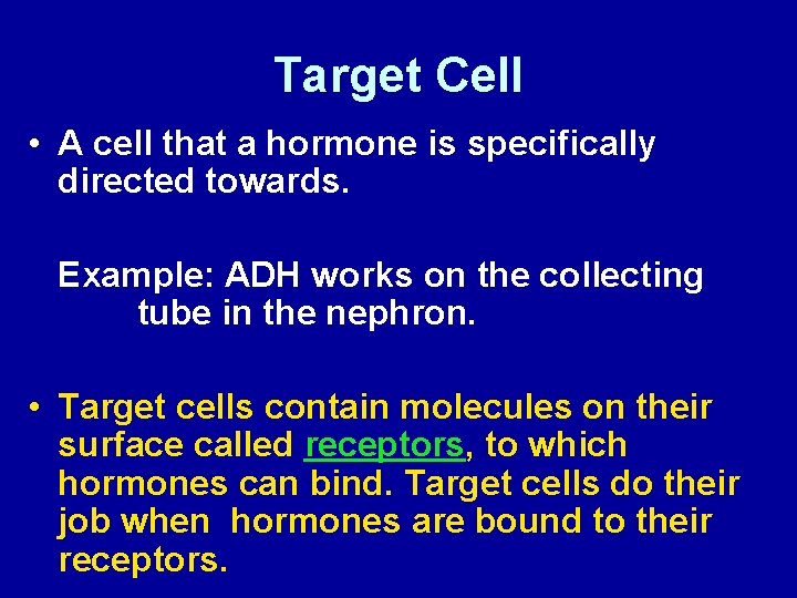 Target Cell • A cell that a hormone is specifically directed towards. Example: ADH