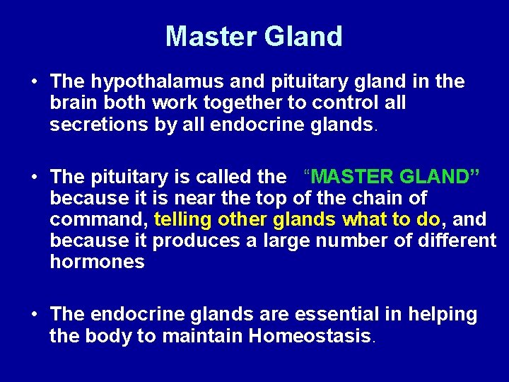 Master Gland • The hypothalamus and pituitary gland in the brain both work together