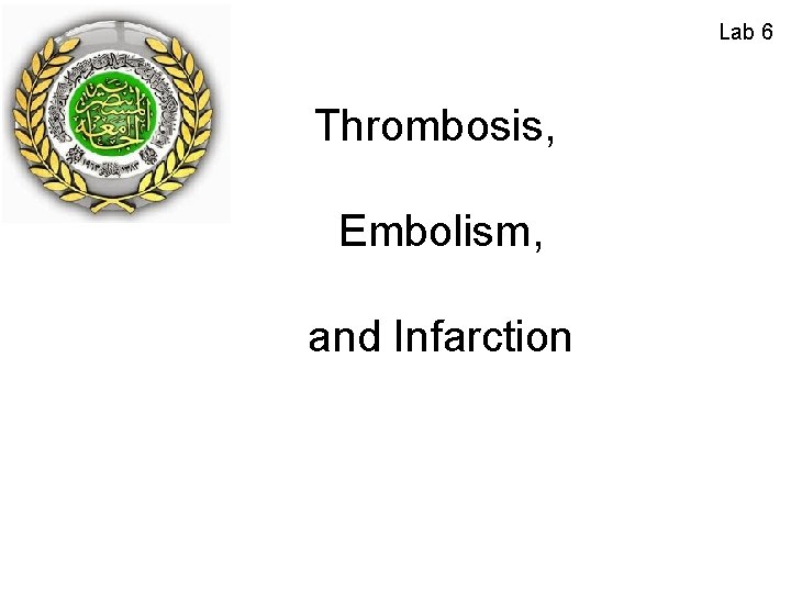 Lab 6 Thrombosis, Embolism, and Infarction 