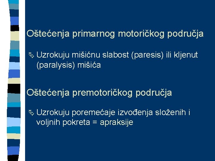 Oštećenja primarnog motoričkog područja Ä Uzrokuju mišićnu slabost (paresis) ili kljenut (paralysis) mišića Oštećenja