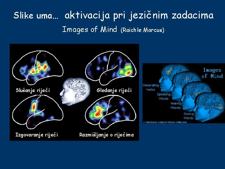 Slike uma… aktivacija pri jezičnim zadacima Images of Mind Slušanje riječi Izgovaranje riječi (Raichle