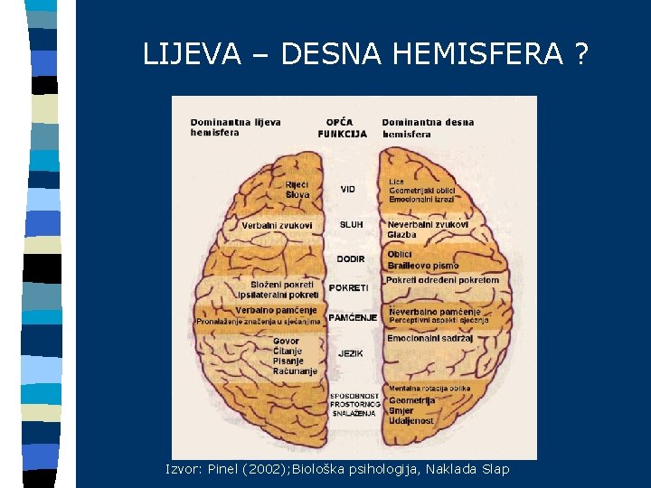 LIJEVA – DESNA HEMISFERA ? Izvor: Pinel (2002); Biološka psihologija, Naklada Slap 