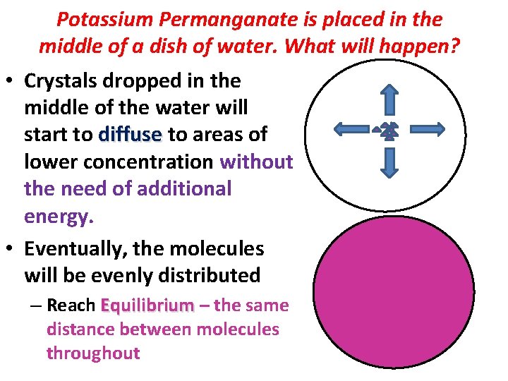 Potassium Permanganate is placed in the middle of a dish of water. What will