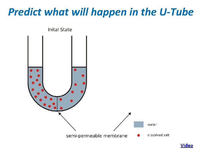 Predict what will happen in the U-Tube Video 