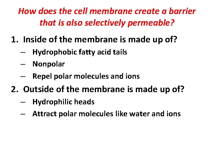 How does the cell membrane create a barrier that is also selectively permeable? 1.