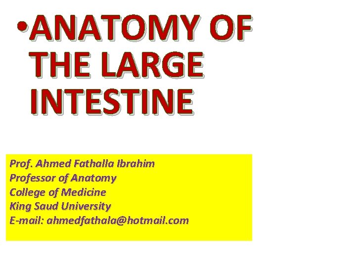  • ANATOMY OF THE LARGE INTESTINE Prof. Ahmed Fathalla Ibrahim Professor of Anatomy