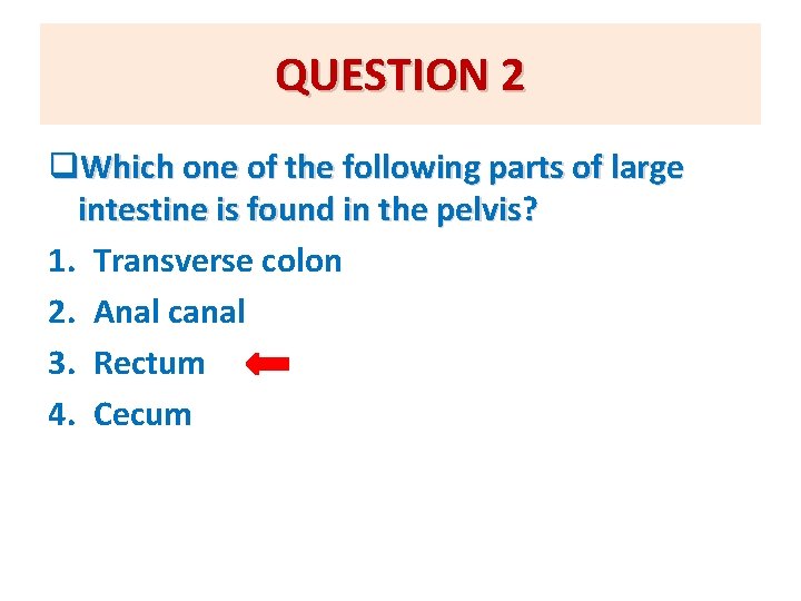 QUESTION 2 q. Which one of the following parts of large intestine is found