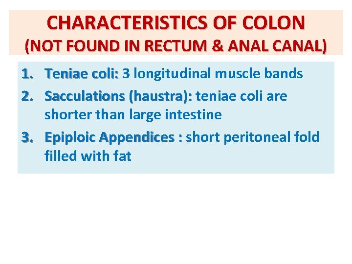 CHARACTERISTICS OF COLON (NOT FOUND IN RECTUM & ANAL CANAL) 1. Teniae coli: 3