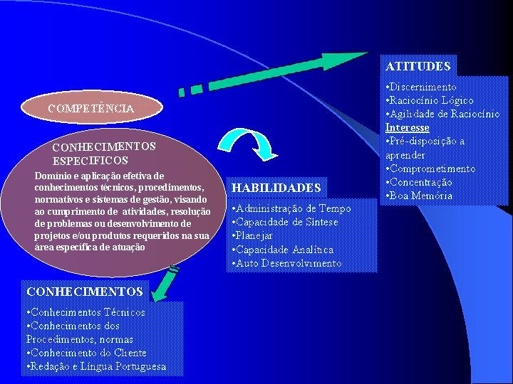 ATITUDES COMPETÊNCIA CONHECIMENTOS ESPECIFICOS Domínio e aplicação efetiva de conhecimentos técnicos, procedimentos, normativos e