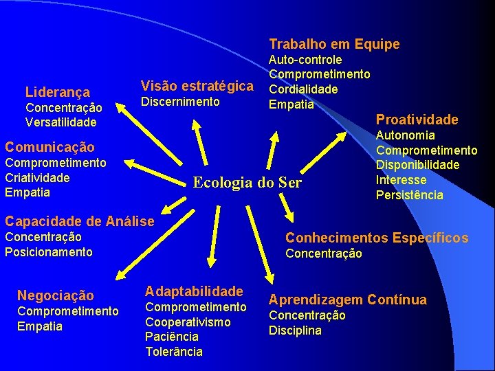 Trabalho em Equipe Liderança Concentração Versatilidade Visão estratégica Discernimento Auto-controle Comprometimento Cordialidade Empatia Proatividade