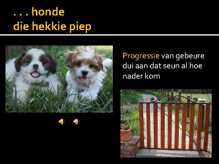 . . . honde die hekkie piep Progressie van gebeure dui aan dat seun