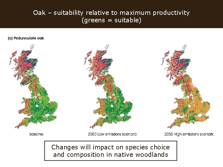 Oak – suitability relative to maximum productivity (greens = suitable) Changes will impact on