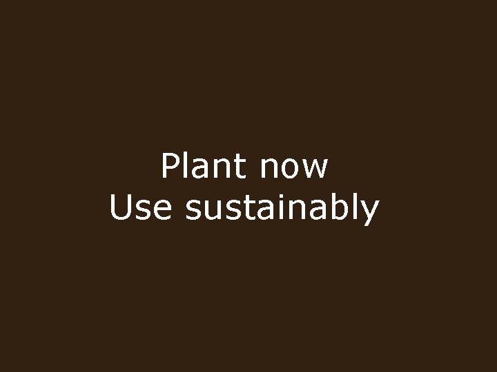 Plant now Use sustainably 