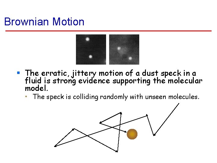 Brownian Motion § The erratic, jittery motion of a dust speck in a fluid