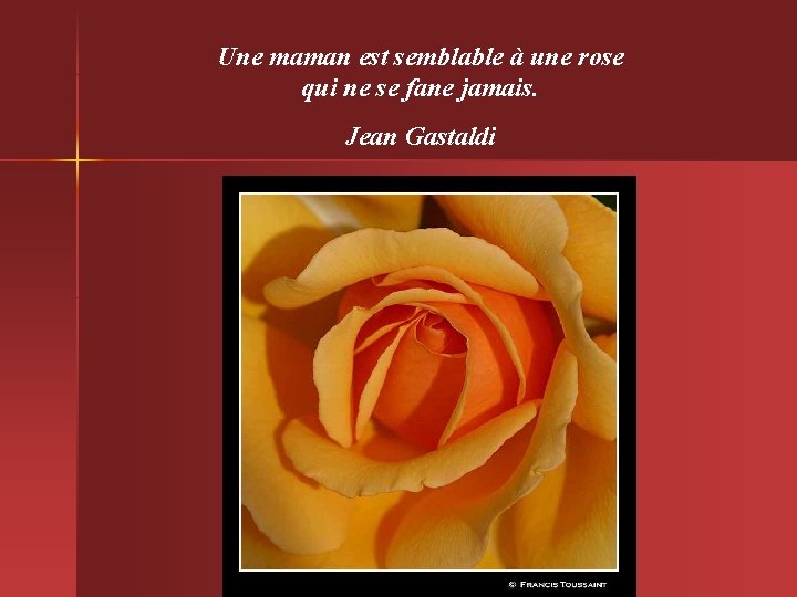 Une maman est semblable à une rose qui ne se fane jamais. Jean Gastaldi