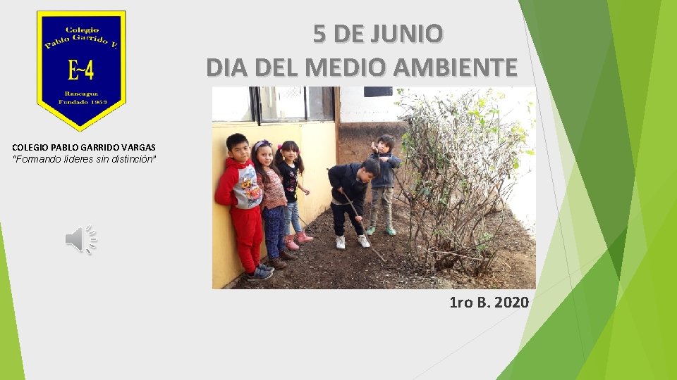 5 DE JUNIO DIA DEL MEDIO AMBIENTE COLEGIO