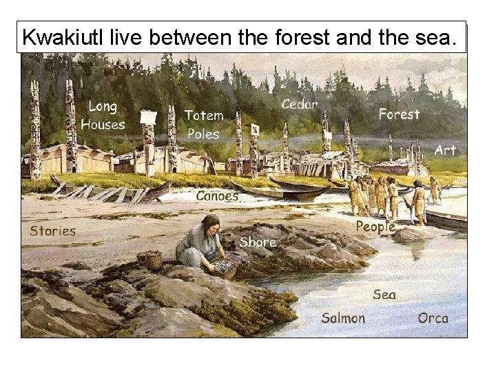 Kwakiutl live between the forest and the sea. 
