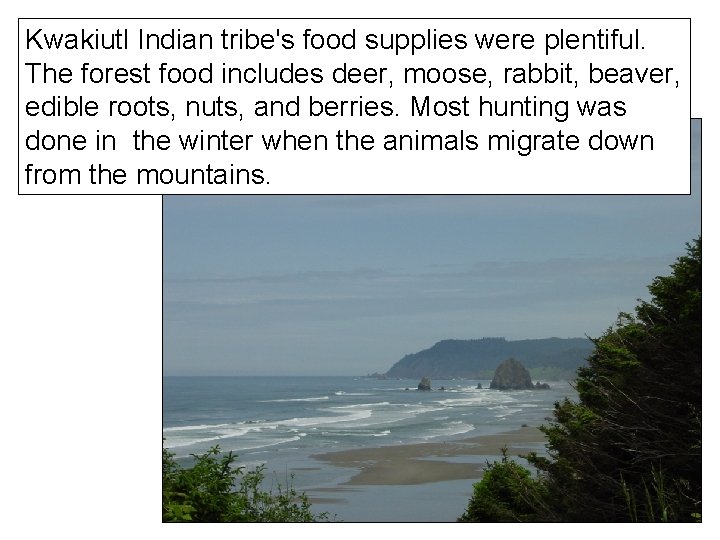 Kwakiutl Indian tribe's food supplies were plentiful. The forest food includes deer, moose, rabbit,