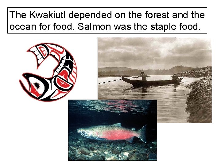 The Kwakiutl depended on the forest and the ocean for food. Salmon was the