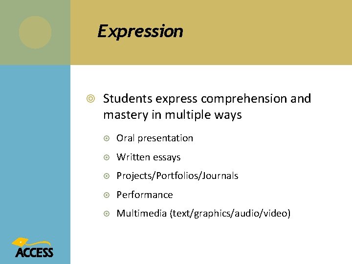 Expression Students express comprehension and mastery in multiple ways Oral presentation Written essays Projects/Portfolios/Journals