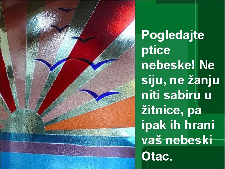 Pogledajte ptice nebeske! Ne siju, ne žanju niti sabiru u žitnice, pa ipak ih
