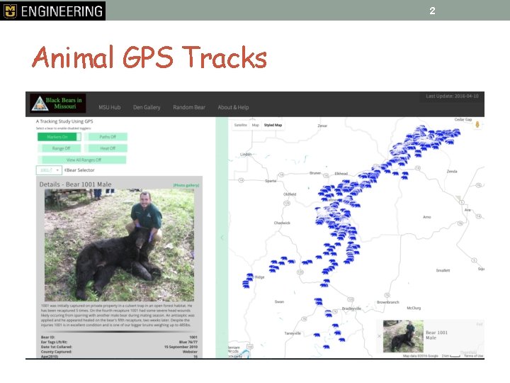 2 Animal GPS Tracks 