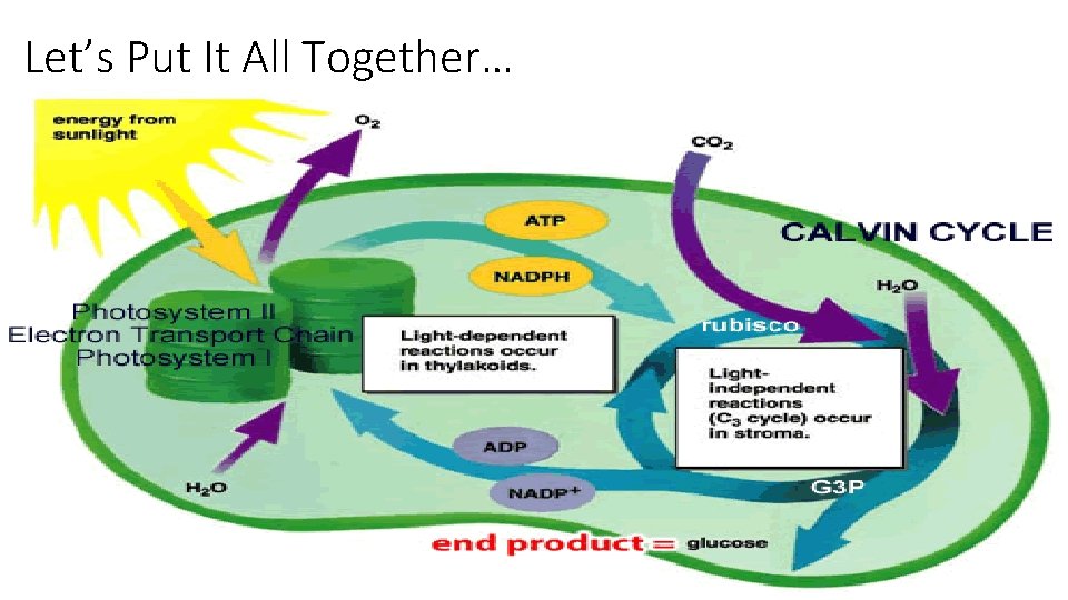 Let’s Put It All Together… 