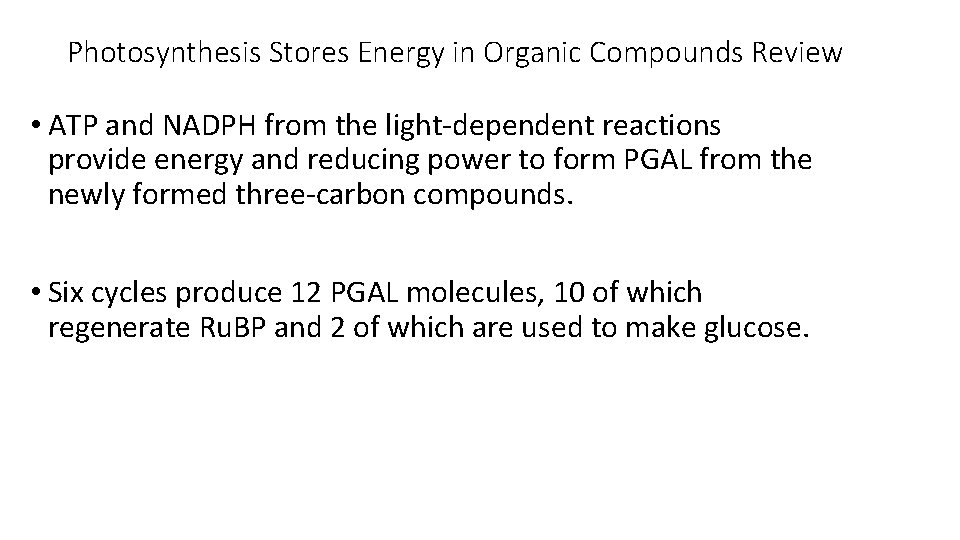 Photosynthesis Stores Energy in Organic Compounds Review • ATP and NADPH from the light-dependent