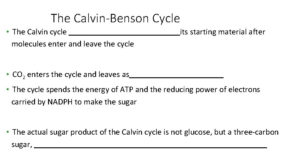The Calvin-Benson Cycle • The Calvin cycle molecules enter and leave the cycle its