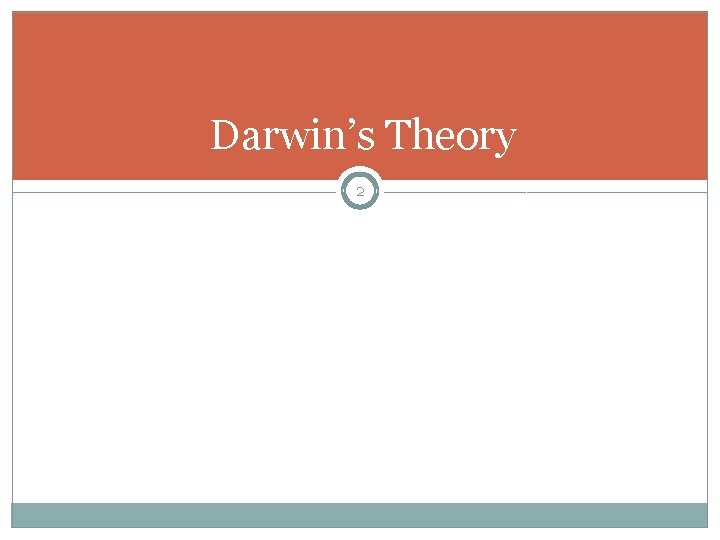 Darwin’s Theory 2 