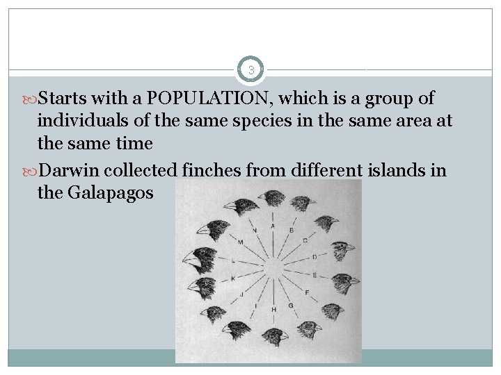 3 Starts with a POPULATION, which is a group of individuals of the same