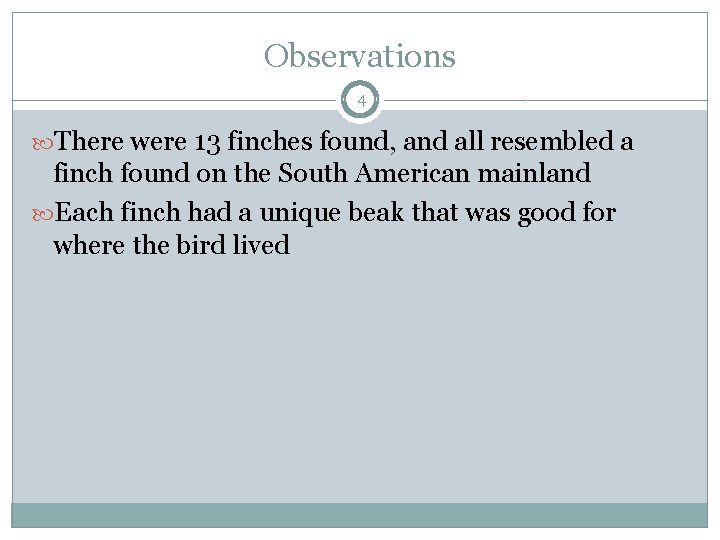 Observations 4 There were 13 finches found, and all resembled a finch found on