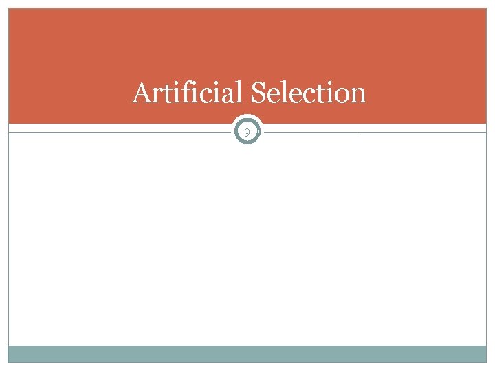 Artificial Selection 9 