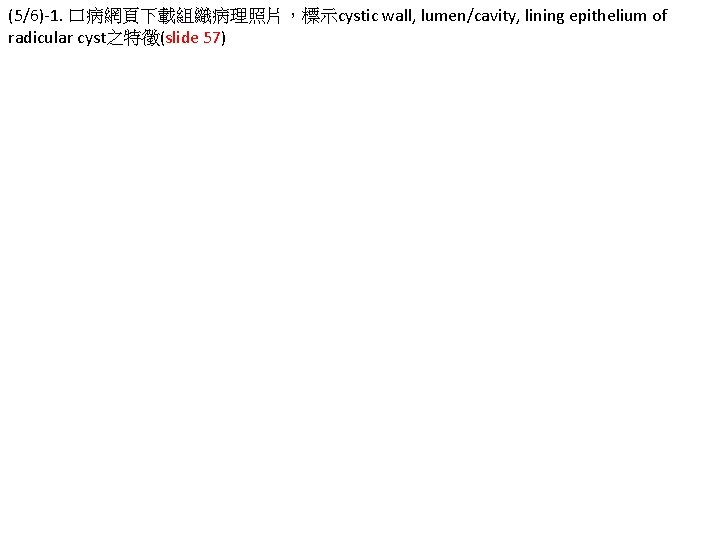 (5/6)-1. 口病網頁下載組織病理照片，標示cystic wall, lumen/cavity, lining epithelium of radicular cyst之特徵(slide 57) 