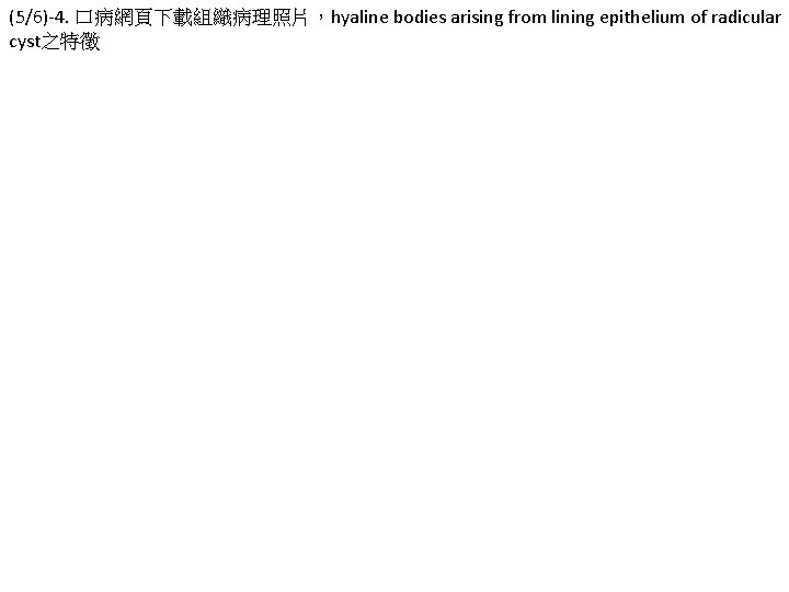 (5/6)-4. 口病網頁下載組織病理照片，hyaline bodies arising from lining epithelium of radicular cyst之特徵 