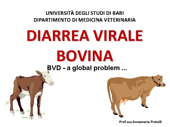 UNIVERSITÀ DEGLI STUDI DI BARI DIPARTIMENTO DI MEDICINA VETERINARIA DIARREA VIRALE BOVINA BVD -