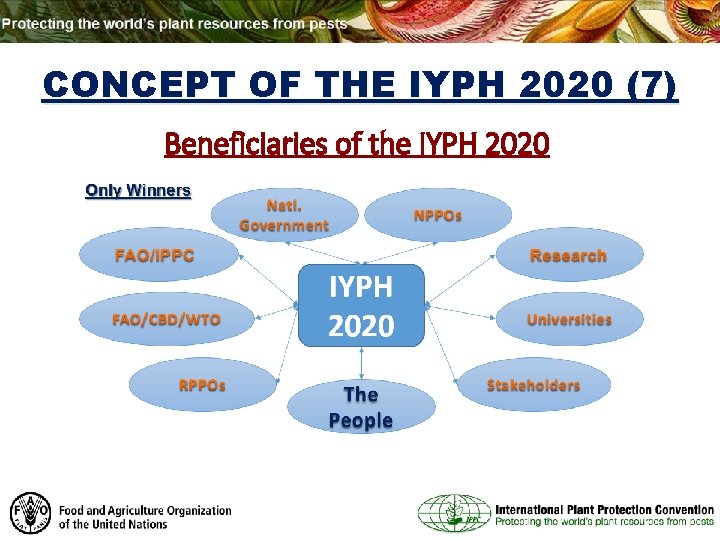 CONCEPT OF THE IYPH 2020 (7) Beneficiaries of the IYPH 2020 