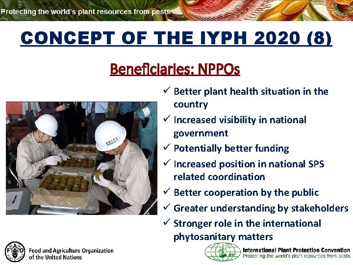 CONCEPT OF THE IYPH 2020 (8) Beneficiaries: NPPOs ü Better plant health situation in