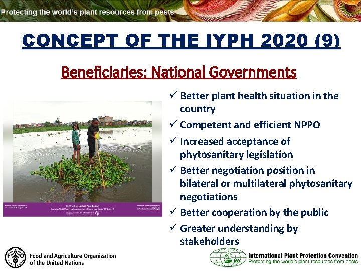 CONCEPT OF THE IYPH 2020 (9) Beneficiaries: National Governments ü Better plant health situation