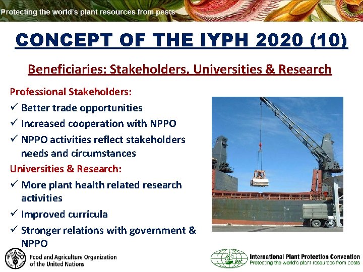 CONCEPT OF THE IYPH 2020 (10) Beneficiaries: Stakeholders, Universities & Research Professional Stakeholders: ü