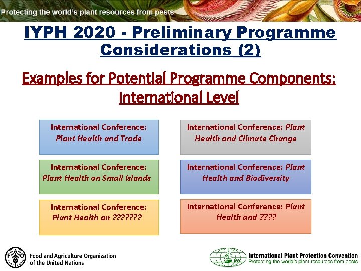 IYPH 2020 - Preliminary Programme Considerations (2) Examples for Potential Programme Components: International Level