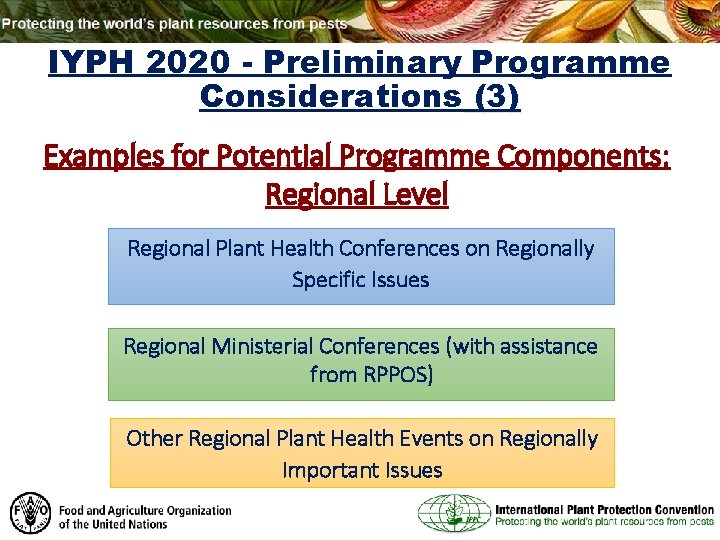 IYPH 2020 - Preliminary Programme Considerations (3) Examples for Potential Programme Components: Regional Level