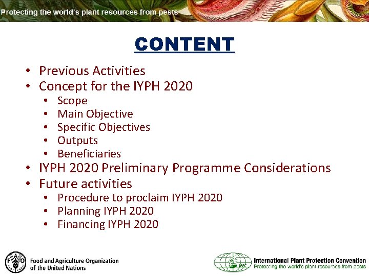 CONTENT • Previous Activities • Concept for the IYPH 2020 • • • Scope