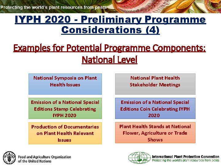 IYPH 2020 - Preliminary Programme Considerations (4) Examples for Potential Programme Components: National Level