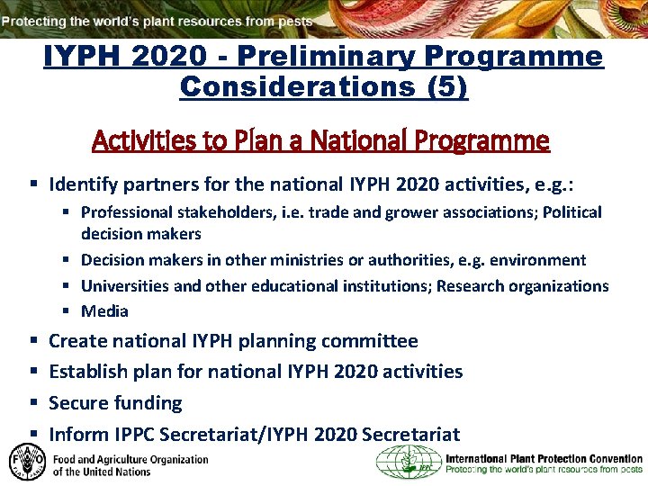 IYPH 2020 - Preliminary Programme Considerations (5) Activities to Plan a National Programme §